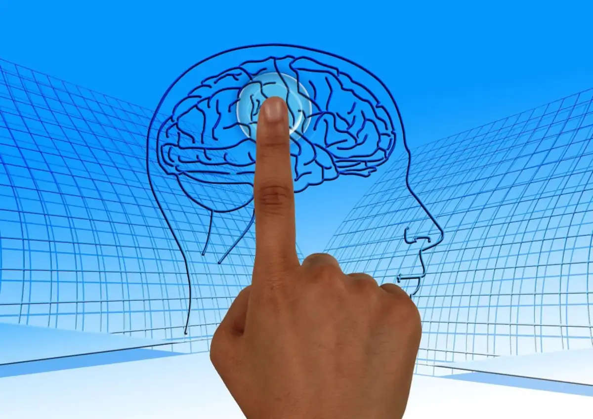 Fotografía de un dedo sobre el cerebro que simboliza cómo se maneja la mente con la PNL